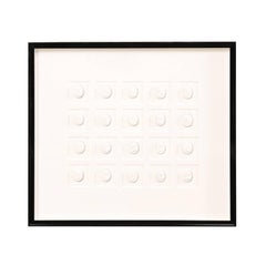 Elegant Black Wall Frame Featuring a Collection of White Intaglios
