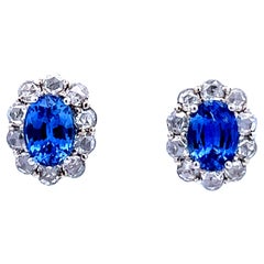 Elegant Blue Sapphire Earrings