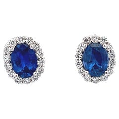Elegant Blue Sapphire Earrings