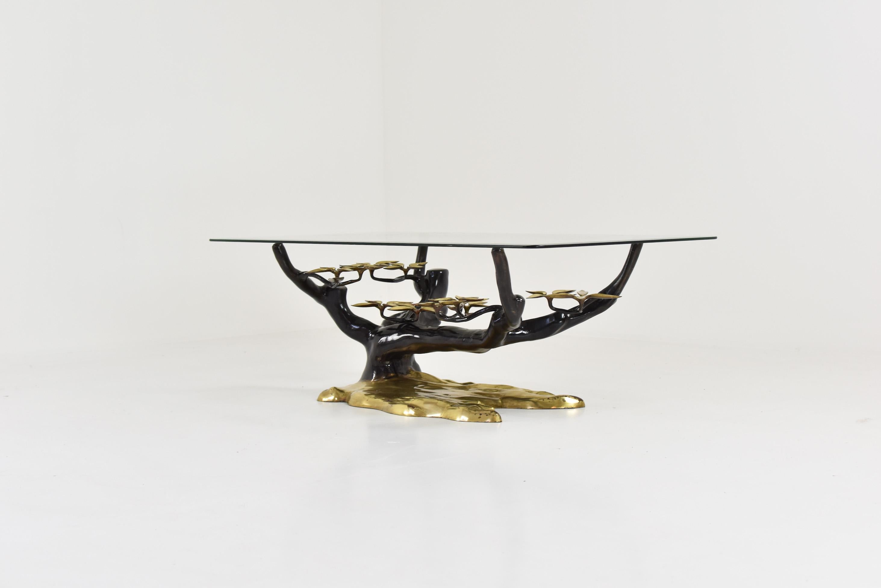 Elegant Bonsai tree coffee table by Willy Daro, Belgium, 1970s. This sculptural coffee table features a patinated brass base and a clear beveled glass table top. Very good original condition.