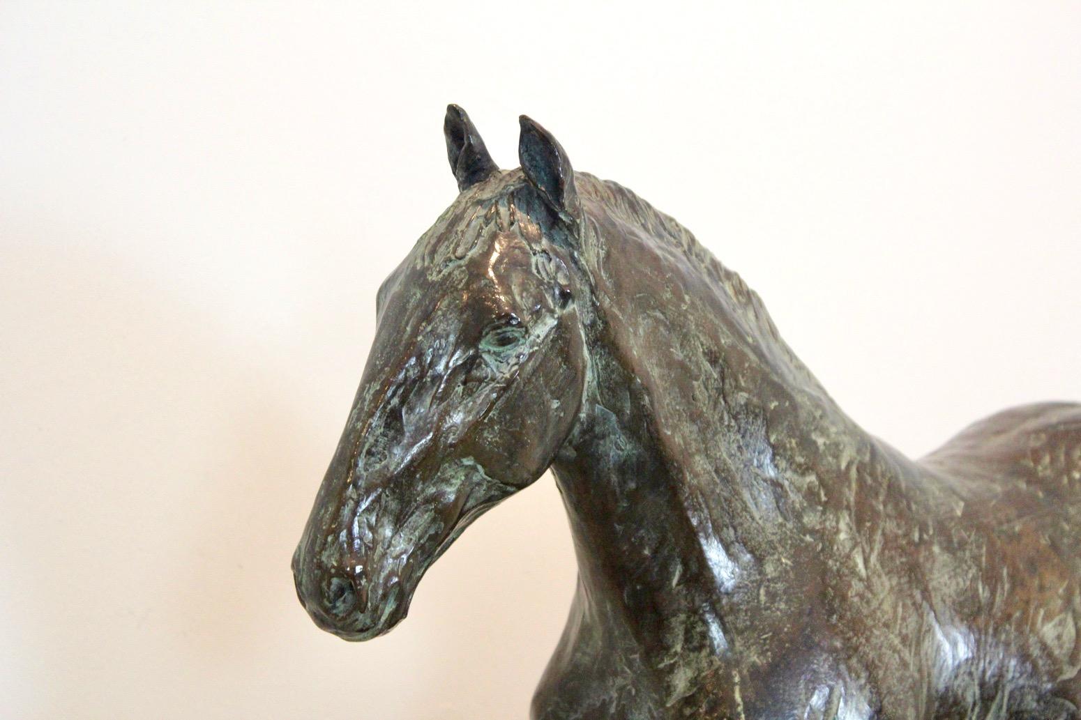 Elegant Bronze Horse Sculpture by Cocky Duijvesteijn, Signed and Numbered For Sale 3