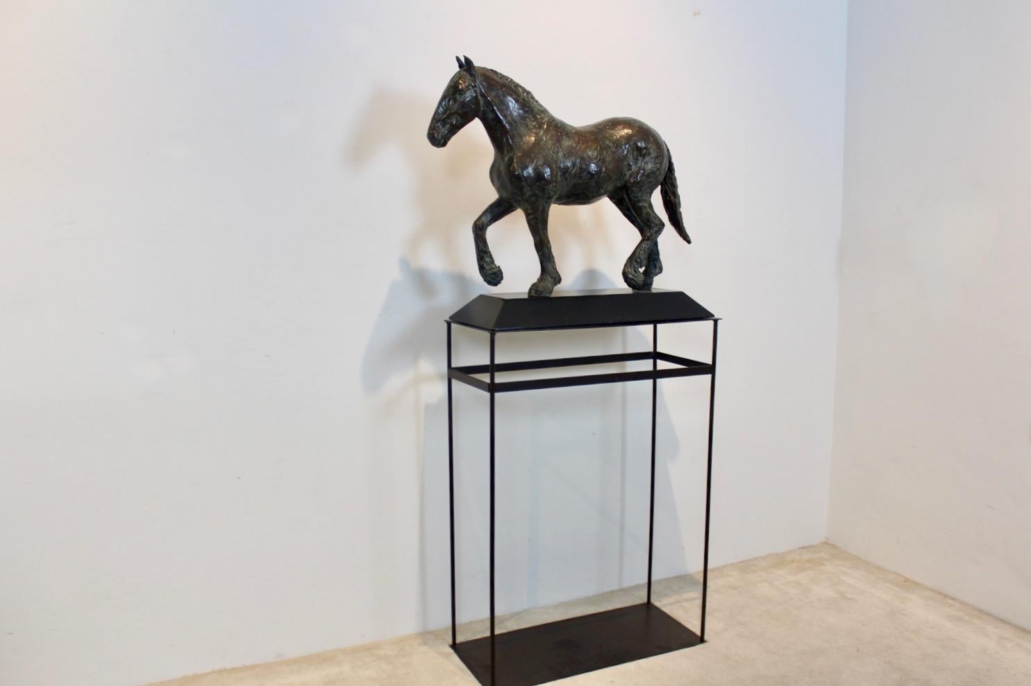 Elegant Bronze Horse Sculpture by Cocky Duijvesteijn, Signed and Numbered For Sale 6