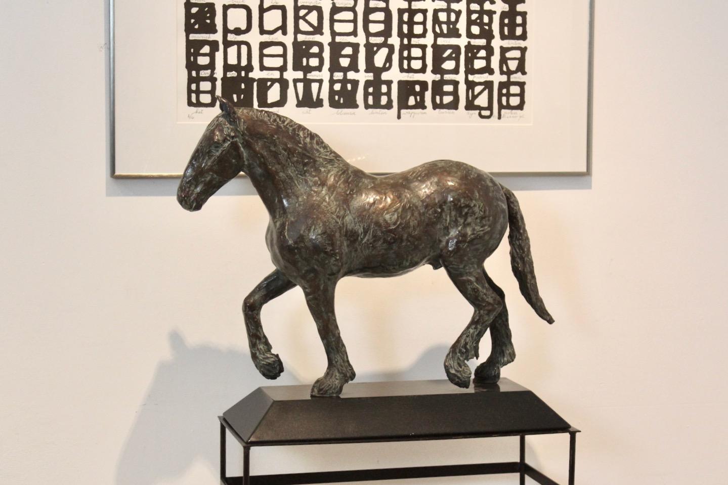 Dutch Elegant Bronze Horse Sculpture by Cocky Duijvesteijn, Signed and Numbered For Sale