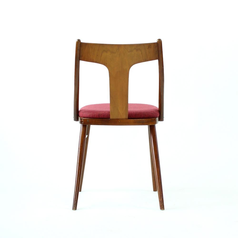 Elegant Dining Chairs In Wood And Pink Upholstery, Czechoslovakia 1960s, Set Of For Sale 4