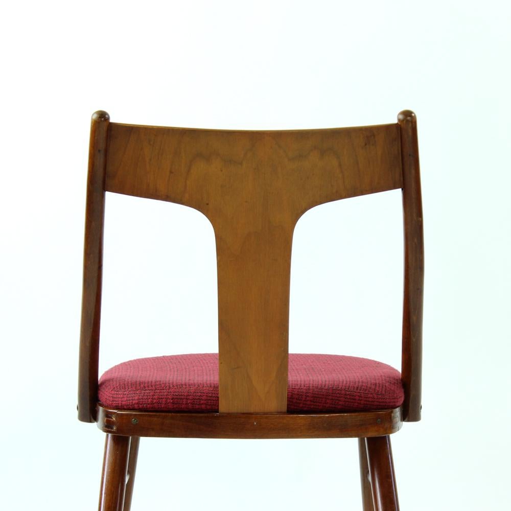 Elegant Dining Chairs In Wood And Pink Upholstery, Czechoslovakia 1960s, Set Of For Sale 5