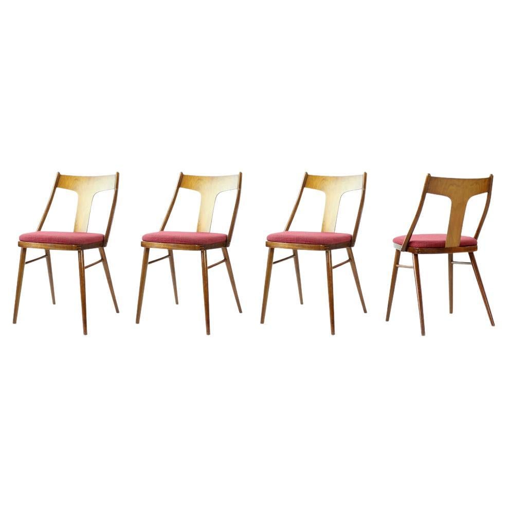 Elegant Dining Chairs In Wood And Pink Upholstery, Czechoslovakia 1960s, Set Of