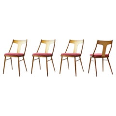 Elegant Dining Chairs In Wood And Pink Upholstery, Czechoslovakia 1960s, Set Of