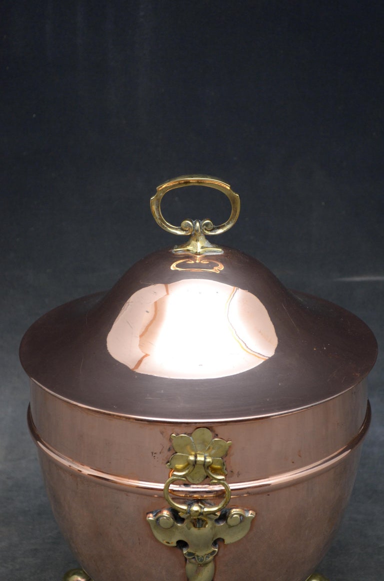 Elegant Edwardian Copper Planter Coal Bucket For Sale at 1stDibs