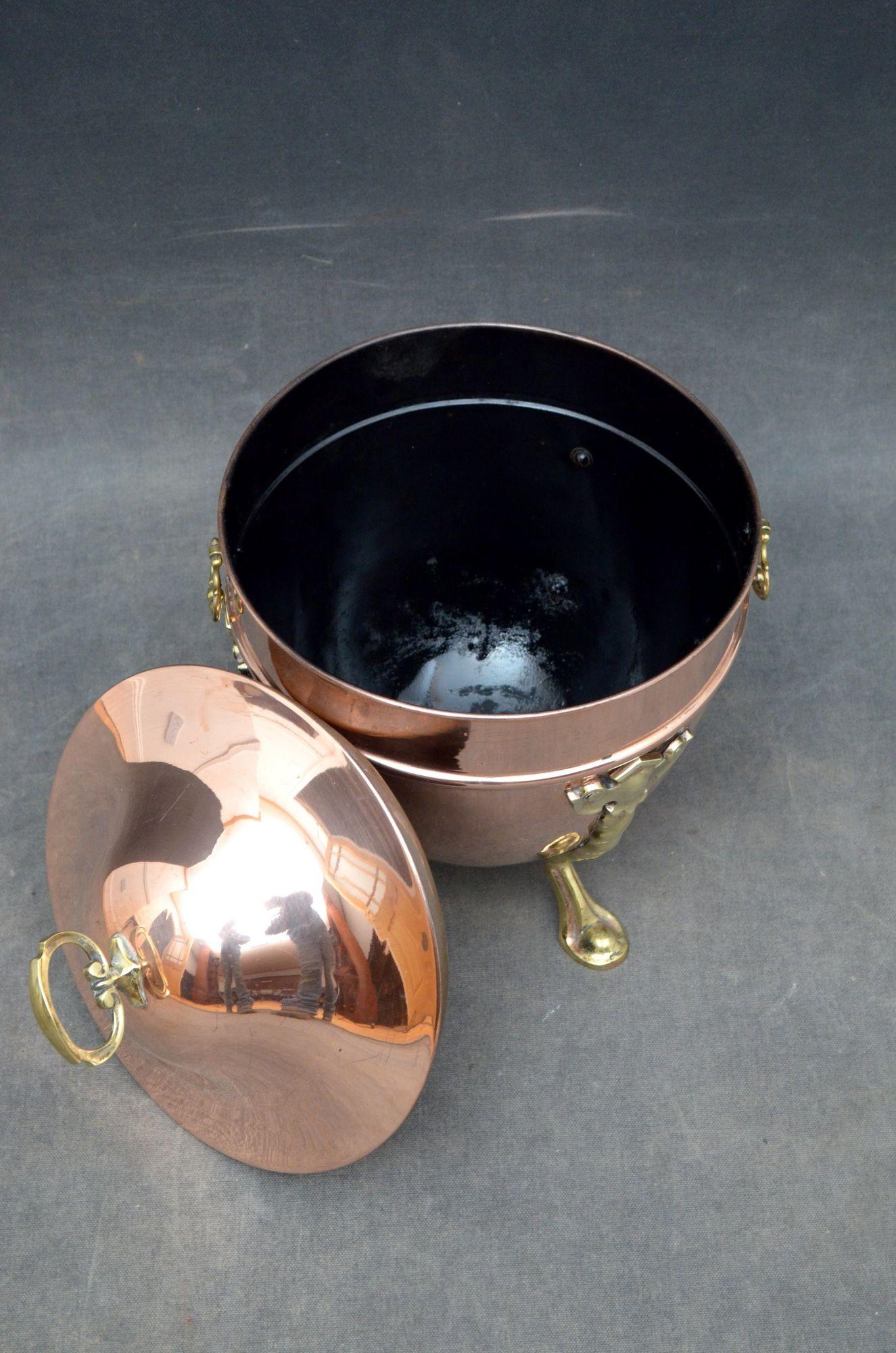 Elegant Edwardian Copper Planter Coal Bucket In Good Condition For Sale In Whaley Bridge, GB