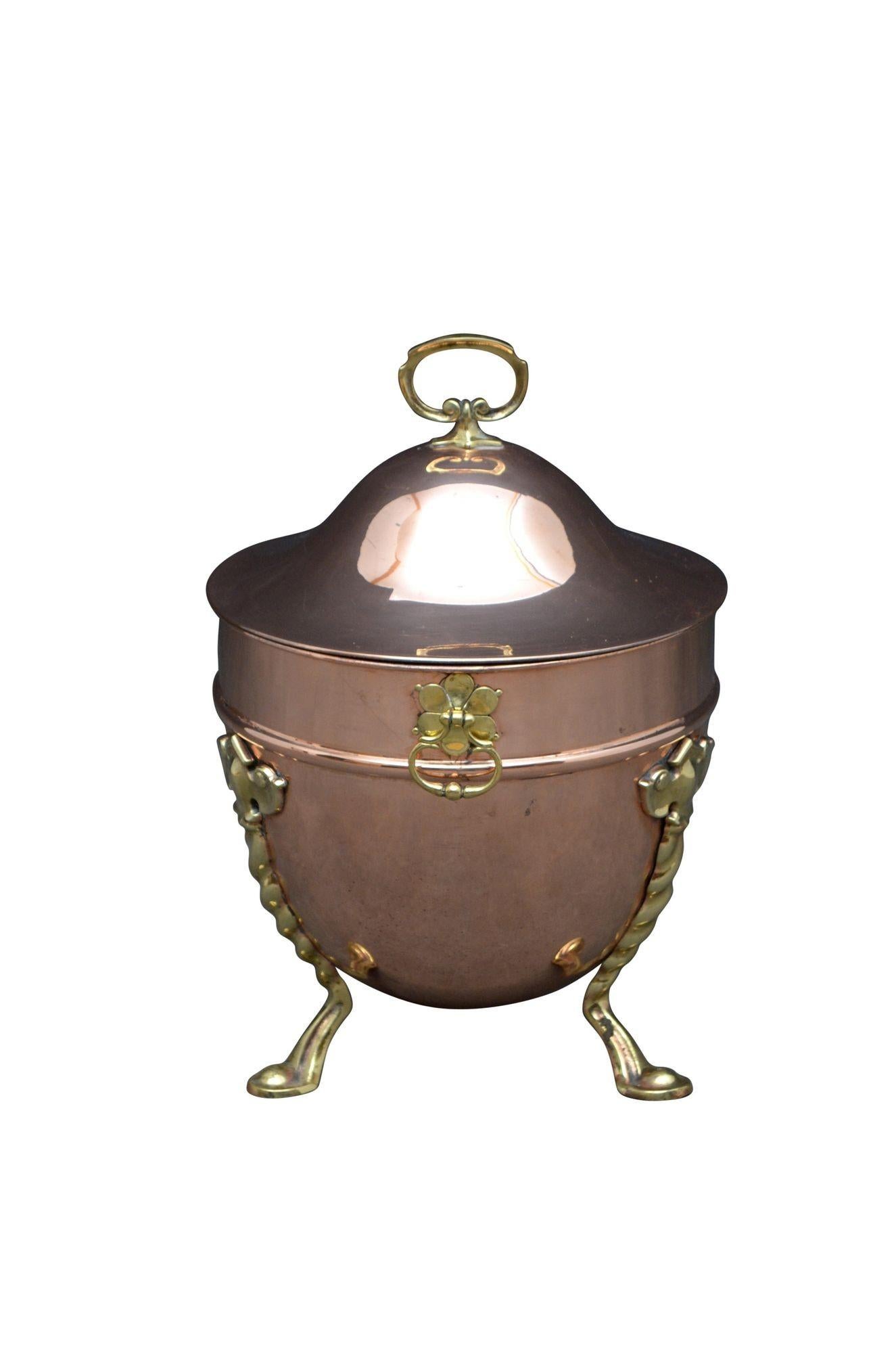 Elegant Edwardian Copper Planter Coal Bucket For Sale 2