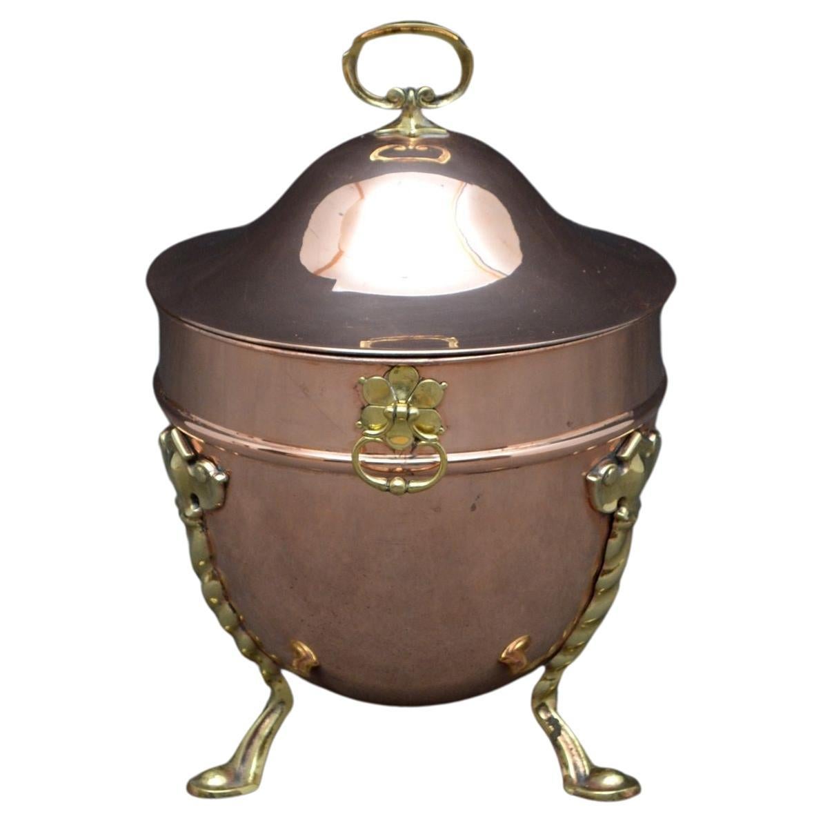 Elegant Edwardian Copper Planter Coal Bucket For Sale