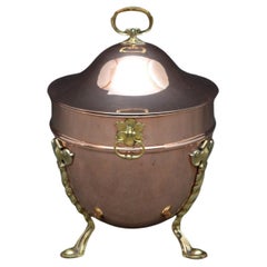 Elegant Edwardian Copper Planter Coal Bucket