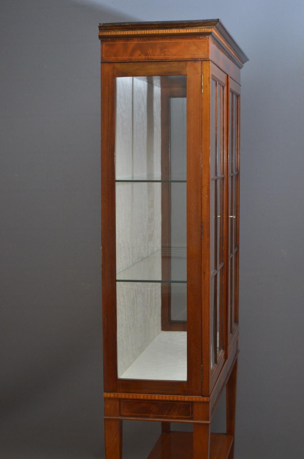 Elegant Edwardian Display Cabinet 3