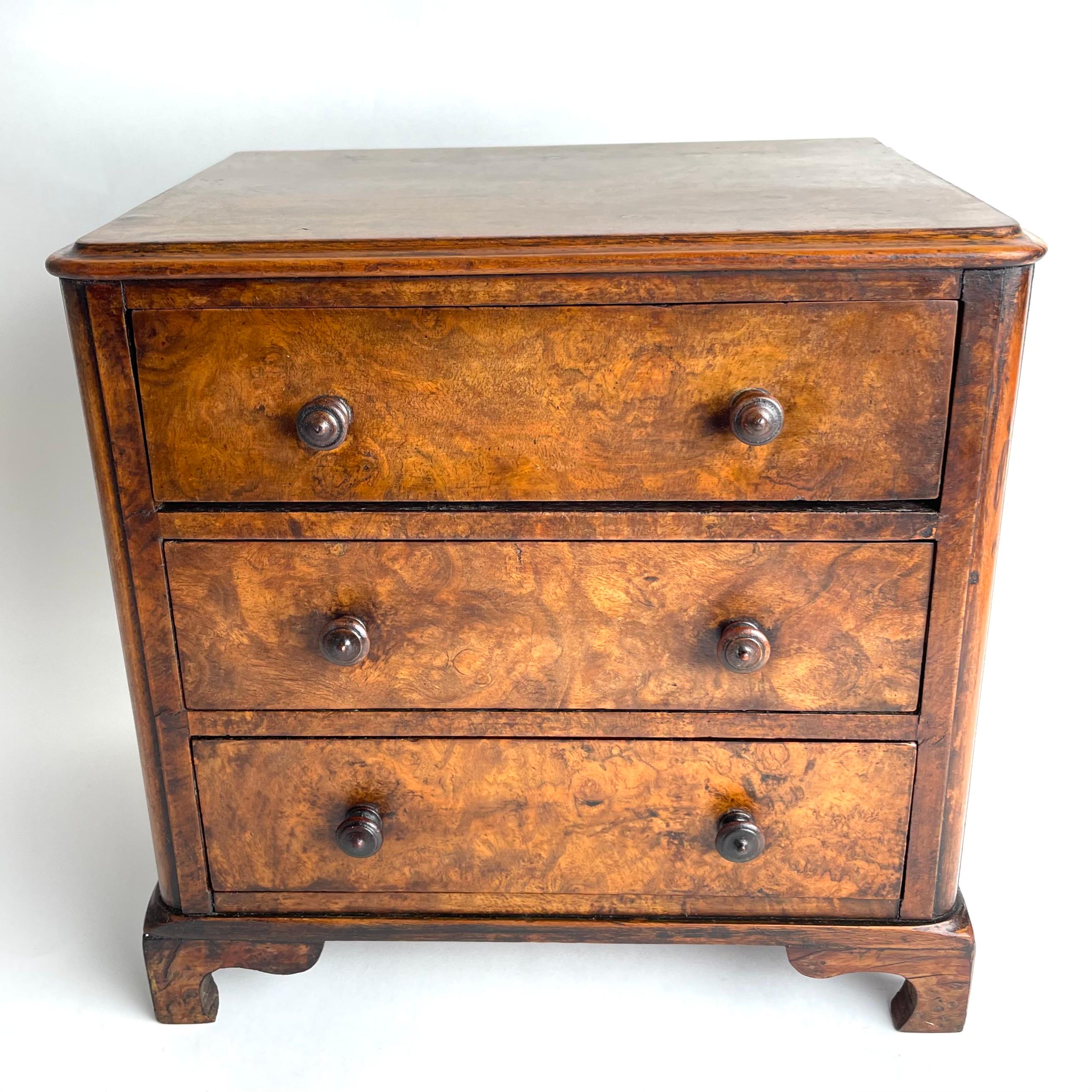 Walnut Elegant English miniature chest of drawers in walnut burl from Mid-19th Century For Sale