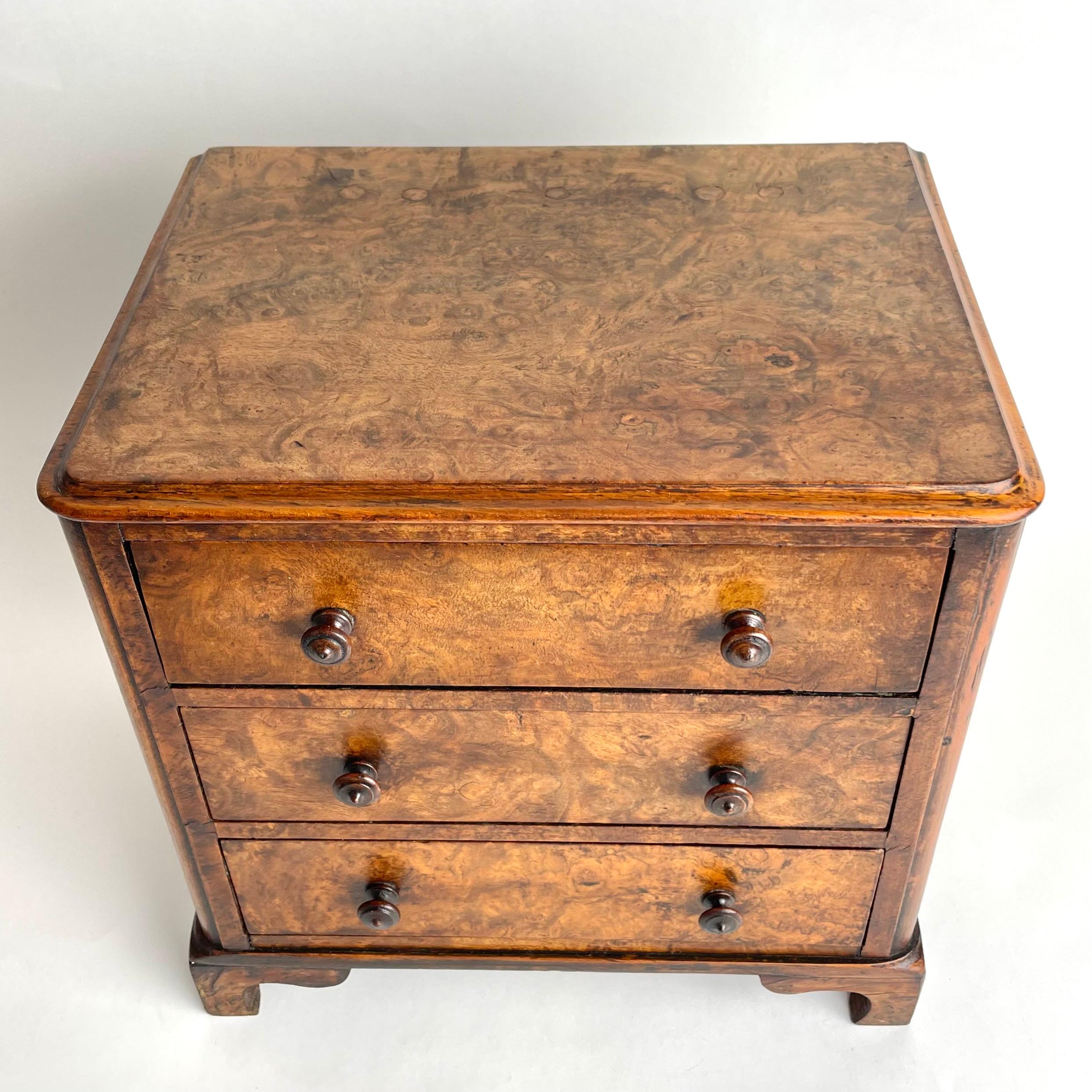 Elegant English miniature chest of drawers in walnut burl from Mid-19th Century For Sale 1
