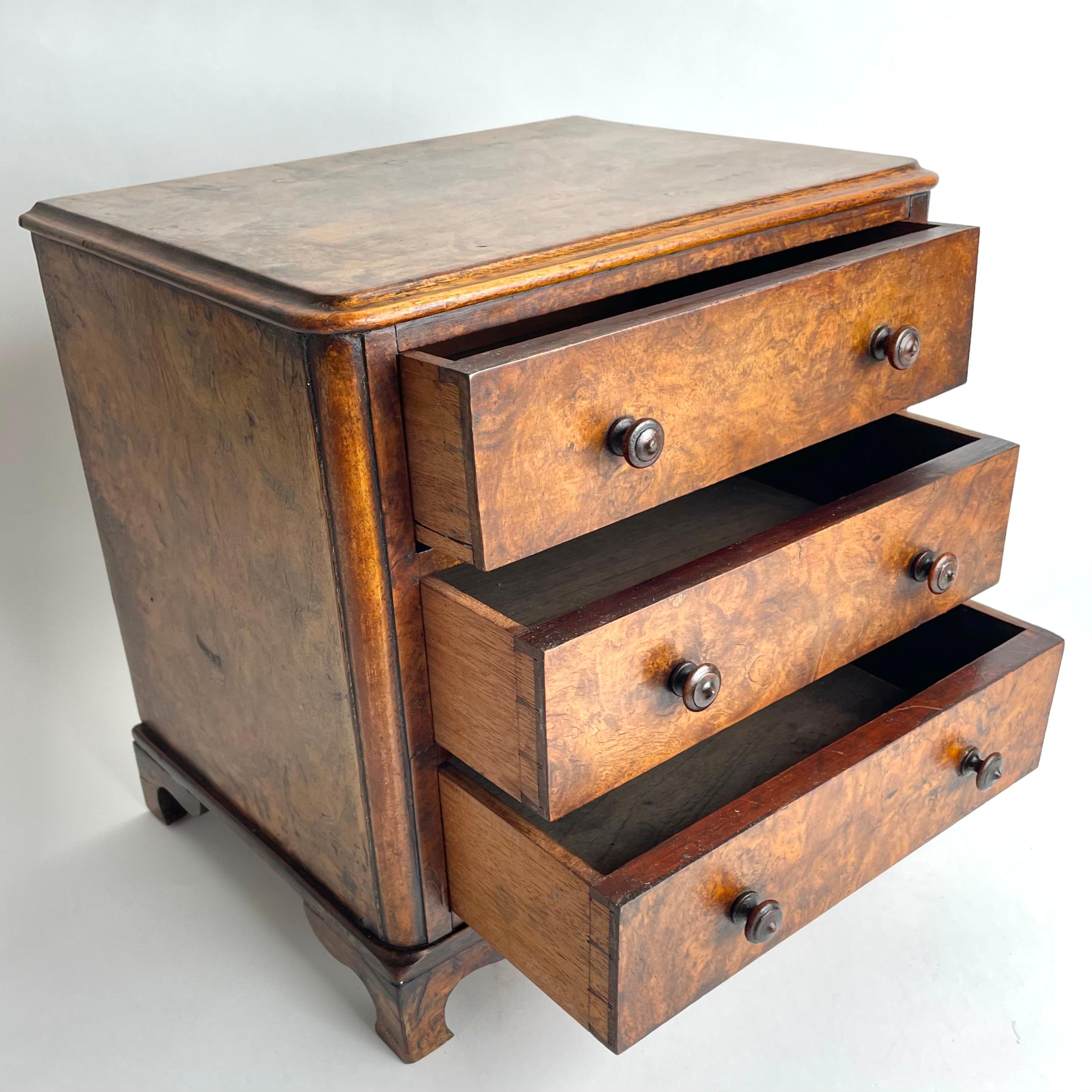 Elegant English miniature chest of drawers in walnut burl from Mid-19th Century For Sale 3