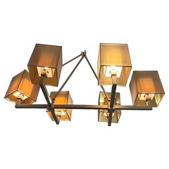 Elegant Five Rivers Fine Art Contemporary Chandelier