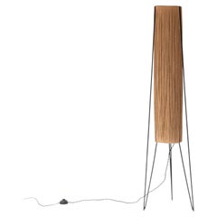 Elegant Floor Lamp by Hesse-Leuchten from Germany, Designed in the 1960s