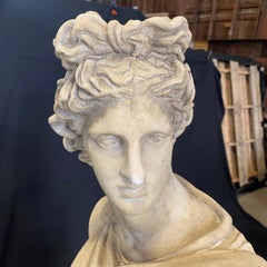 Elegant French Antique Plaster Bust Sculpture of Male Figure