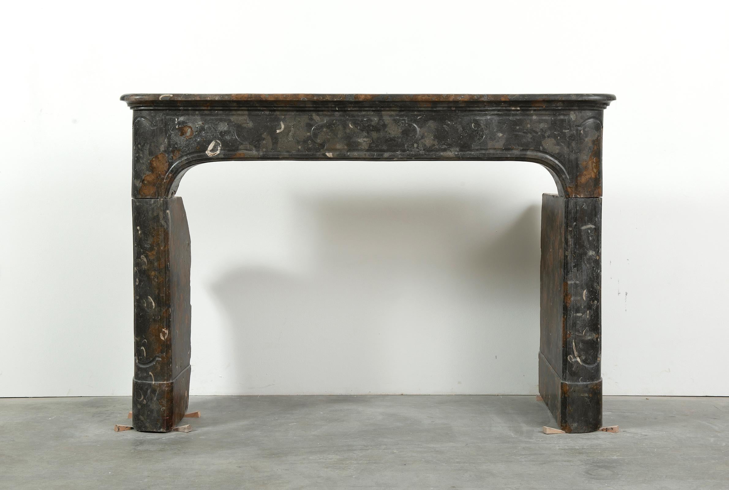 Very elegant 18th century French Louis XIV Fireplace mantel in striking limestone from Saint- Cyr.

This dark limestone/marble show amazing pre historic fossils combined with clouds of grey and hints of white an warm yellow.
The amazing patina