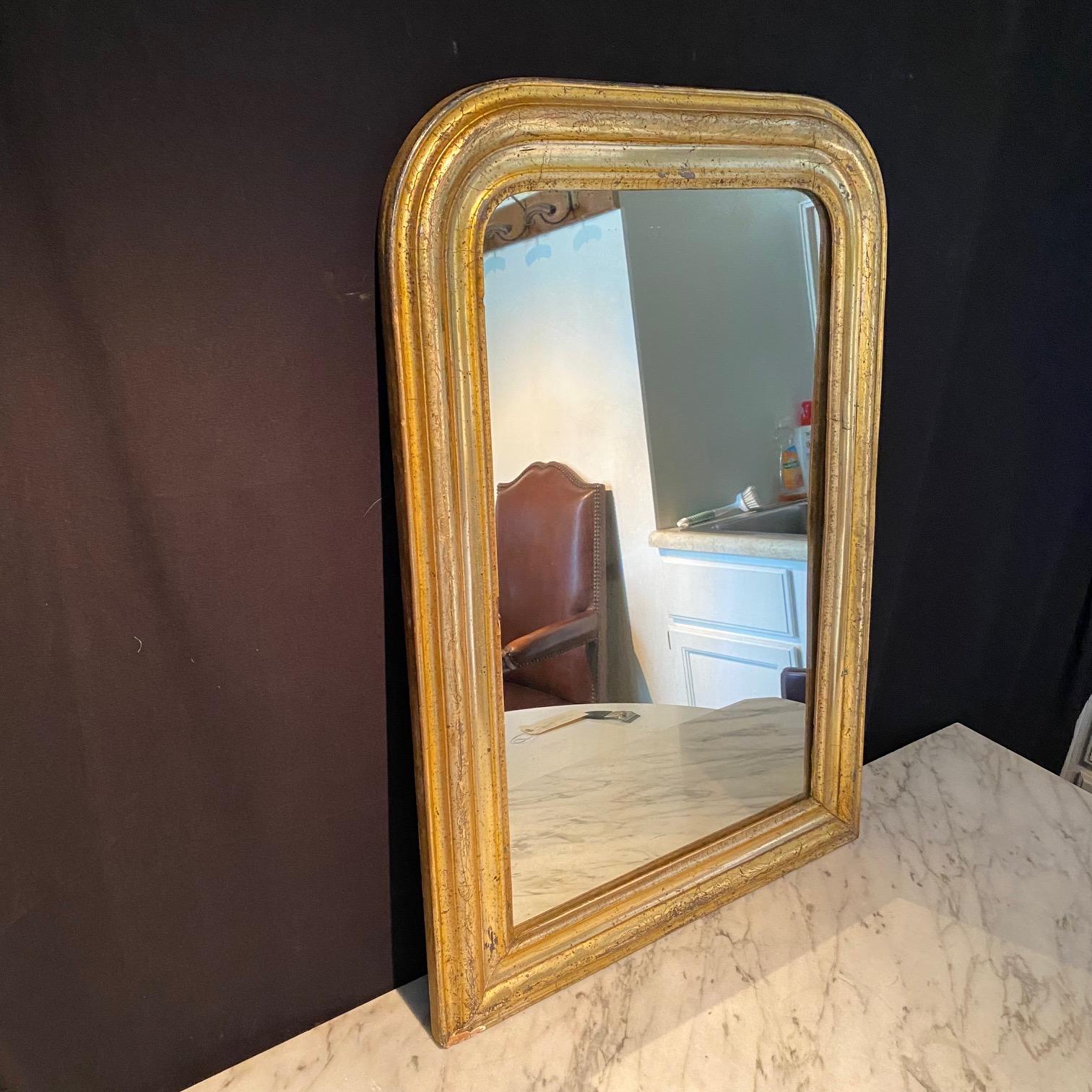 Elegant French Louis Philippe Lemon Gold 19th Century Mirror  For Sale 1