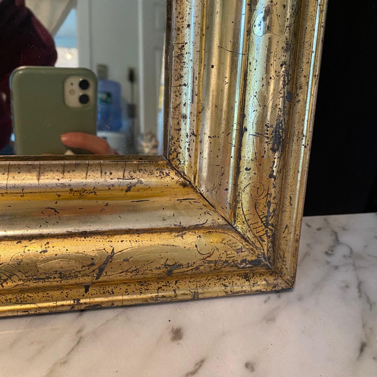 Elegant French Louis Philippe Lemon Gold 19th Century Mirror  For Sale 4