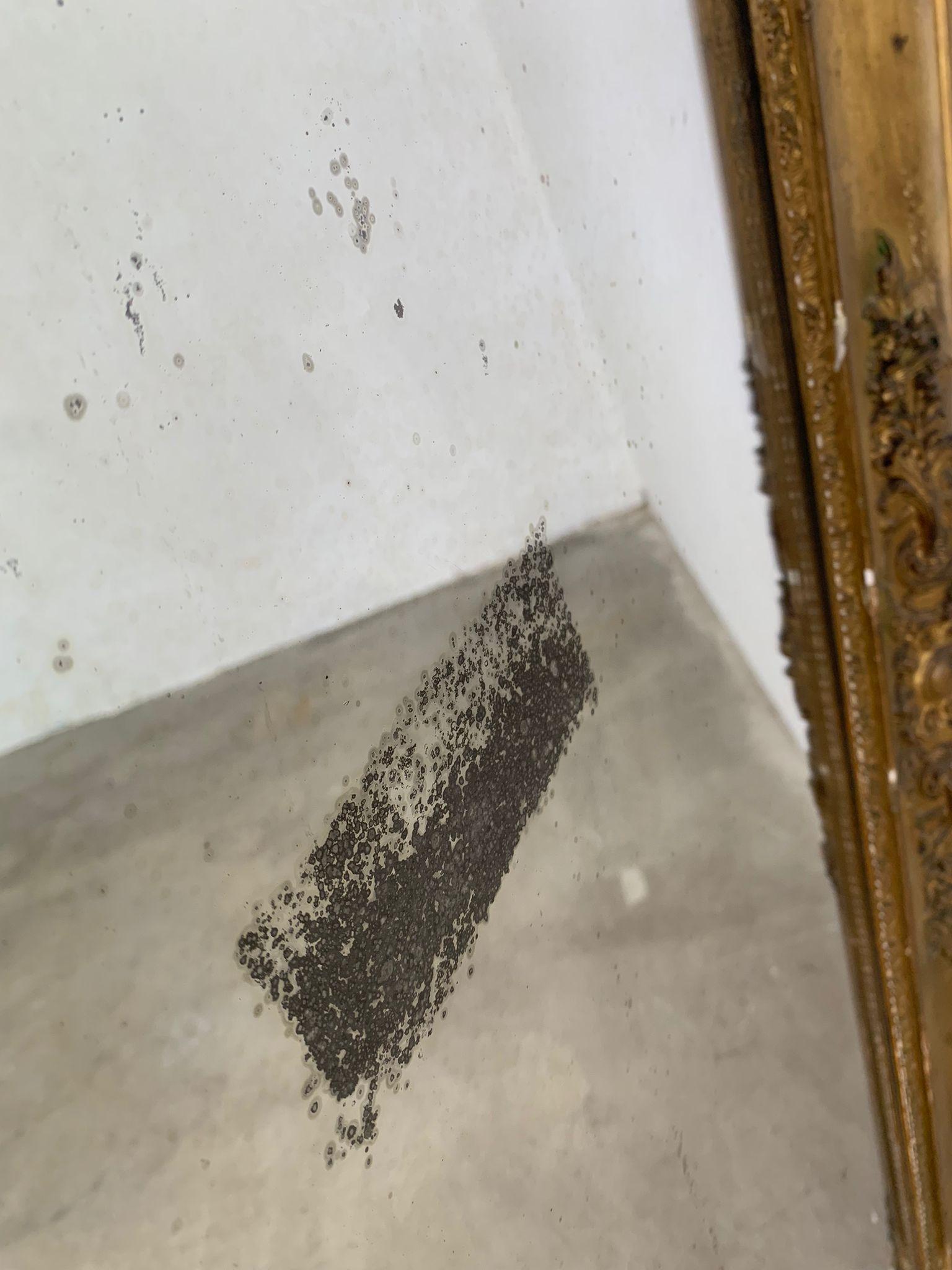 Élégant miroir de cheminée doré datant de la fin du XIXe siècle, Italie en vente 5