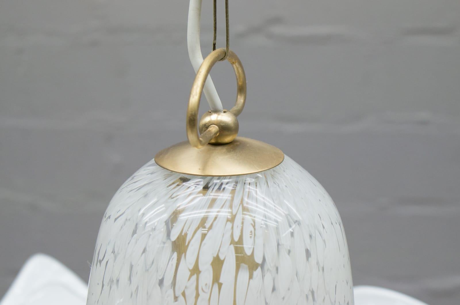 Metal Elegant Hand Blown Murano Glass Pendant Lamp with Murine, Italy, 1960s