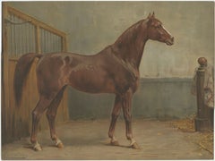Cavallo Hannoveriano Eleg Eleganza Cromolitografia antica di Otto Eerelman, 1898