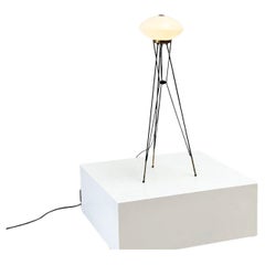 Elegant Italian floor lamp with white opaline shade
