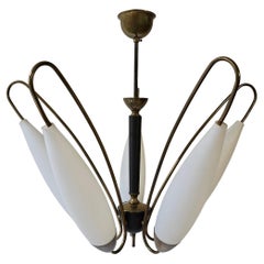 Chandeliers and Pendants