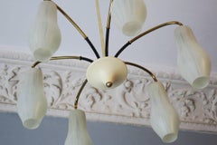 Elegant Italian Stilnovo Style Glass and Brass Chandelier