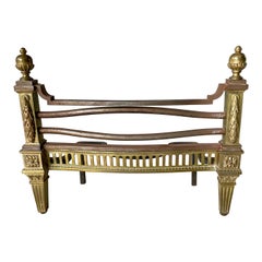 Elegantes Andirones de Bronce Dorado Estampado de Mediados del Siglo XIX, Francia, Alrededor de 1850
