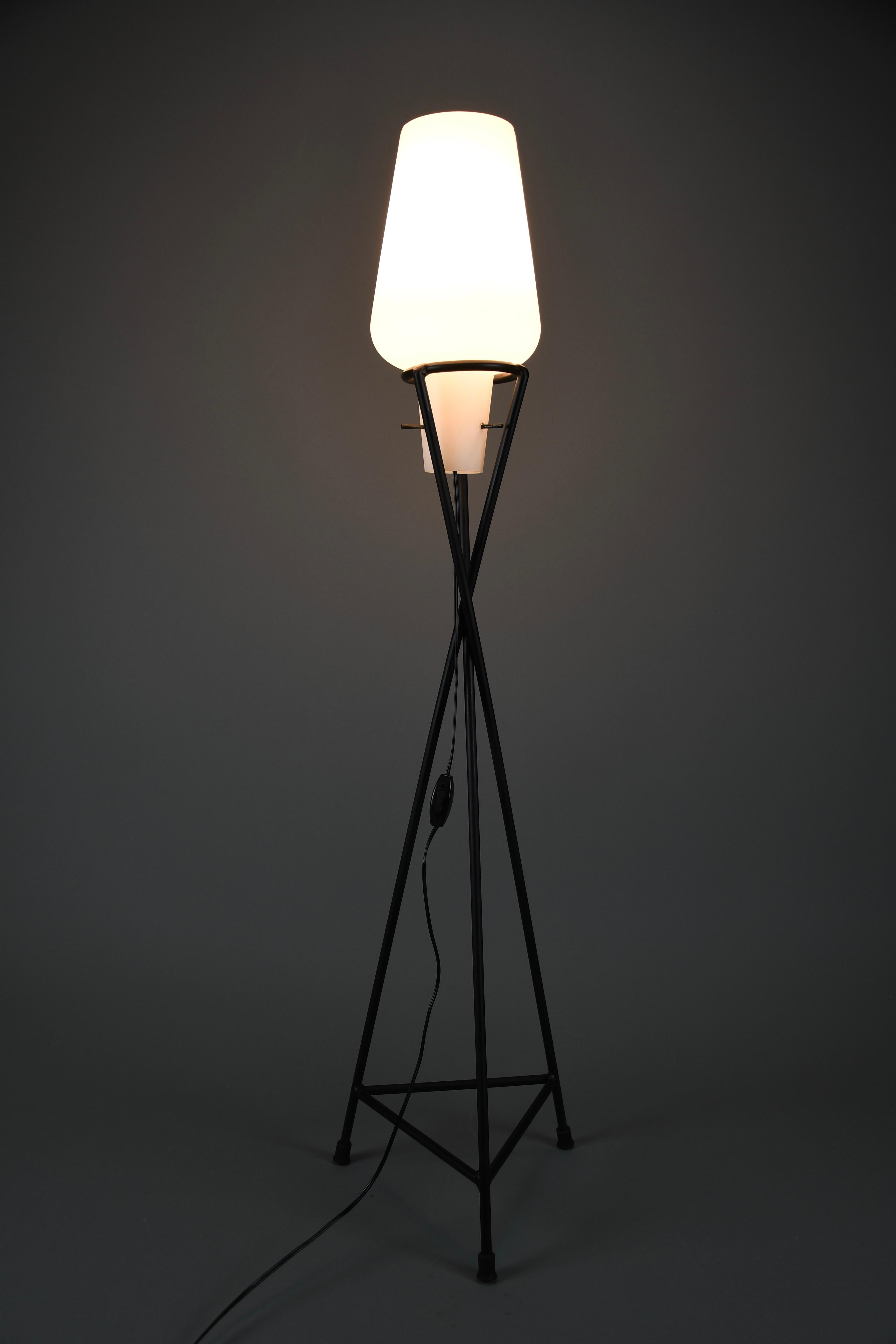 Mid-20th Century Elegant Mid-Century Floor Lamp – Black Painted Iron Lamp with Milk-Glass Shade For Sale