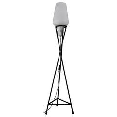 Elegant Mid-Century Floor Lamp – Black Painted Iron Lamp with Milk-Glass Shade