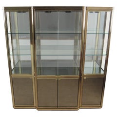 Elegant Mid-Century Modern Display Case by DIA