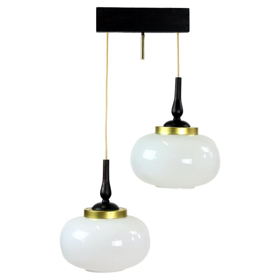 Elegant MidCentury Ceiling Pendant with Two Opaline Lights, Czechoslovakia 1960s For Sale