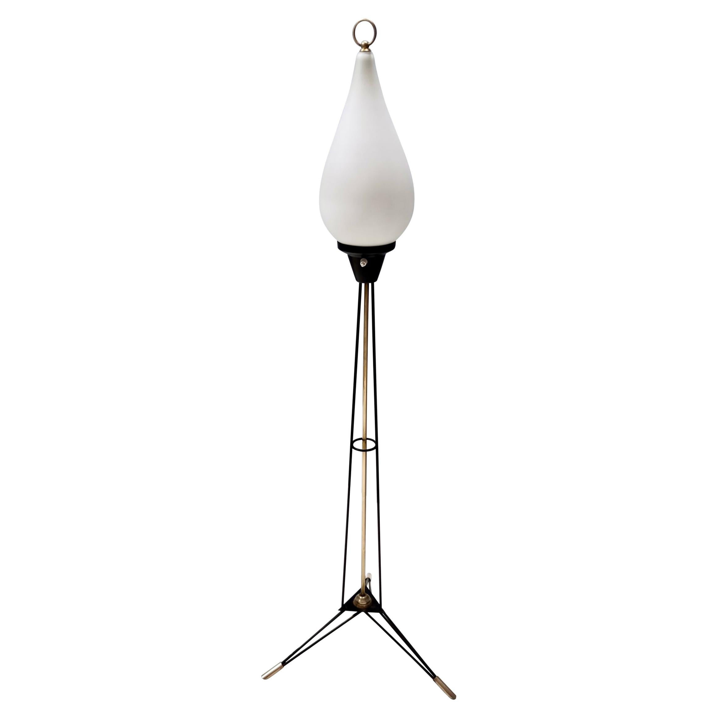 Elegant Vintage Opaline Glass and Iron Floor Lamp by Stilnovo, Italy For Sale
