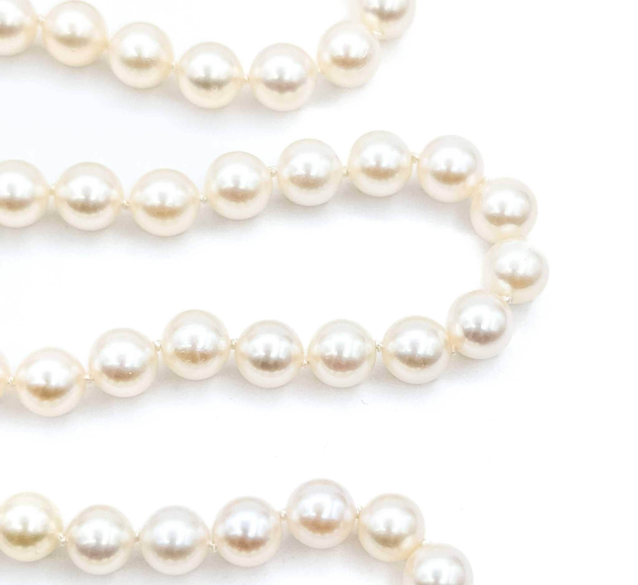 Elegante collar de perlas Akoya Mikimoto en plata de ley Moderno en venta