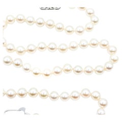 Collares