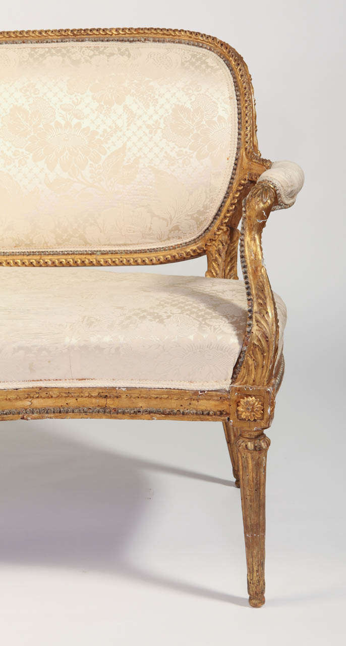 18th Century and Earlier Elegant Nord Italian, 18th Century Giltwood Canapè