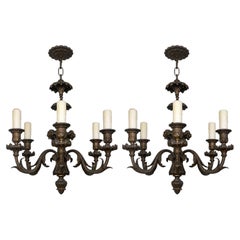Elegant Pair of French 19th Century Bronze Chandeliers