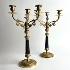 Elegant Pair of French Empire Candelabra in Gilt and Patinated Bronze, 1820s
