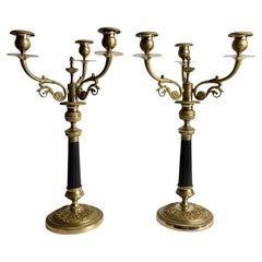 Elegant Pair of French Empire Candelabra in Gilt and Patinated Bronze, 1820s