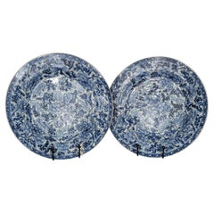 Elegant Pair of Kangxi Period Chargers, China, Early 18th Century