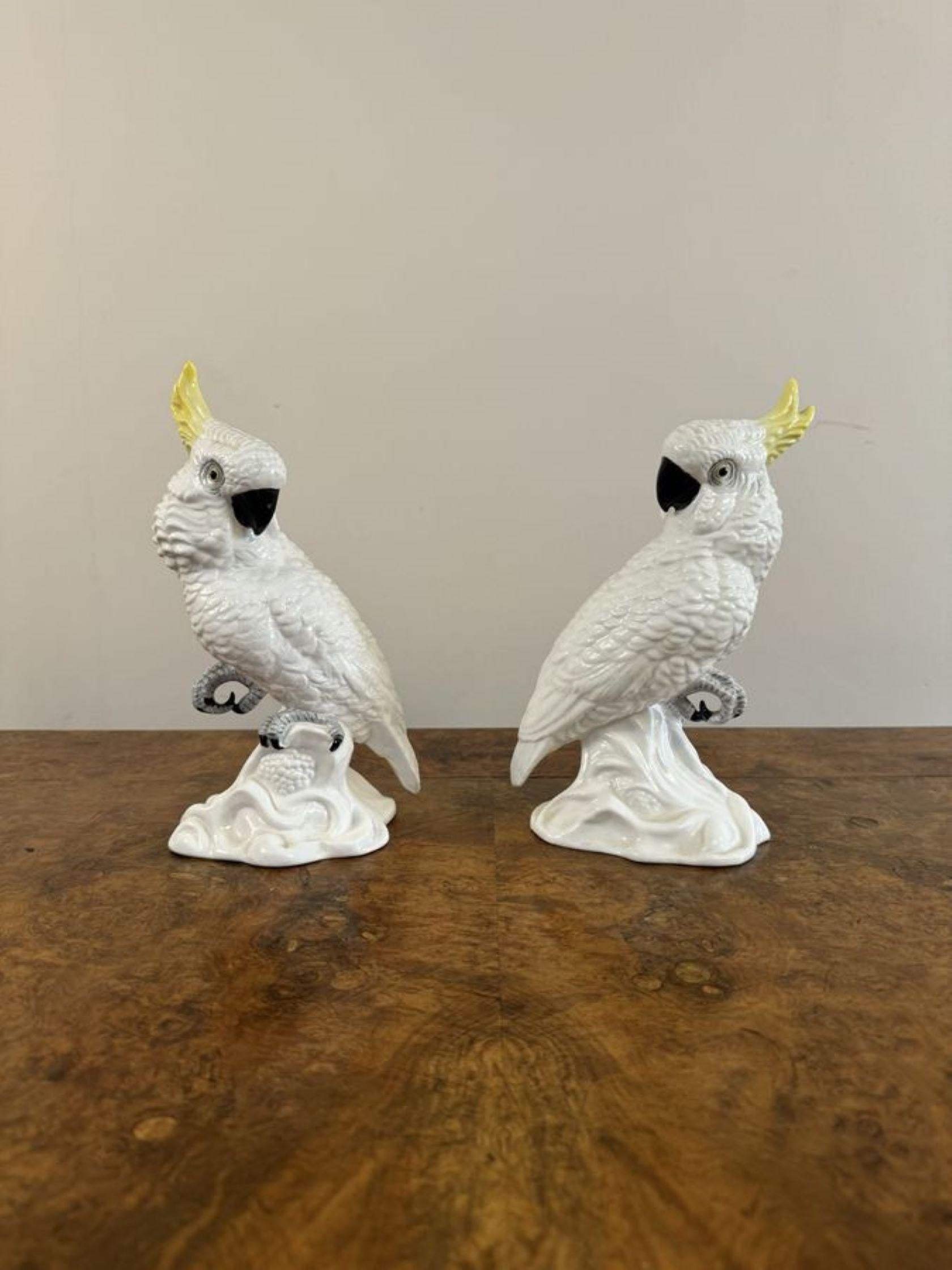 20th Century Elegant pair of mid century cockatoos by T.J Jones  For Sale