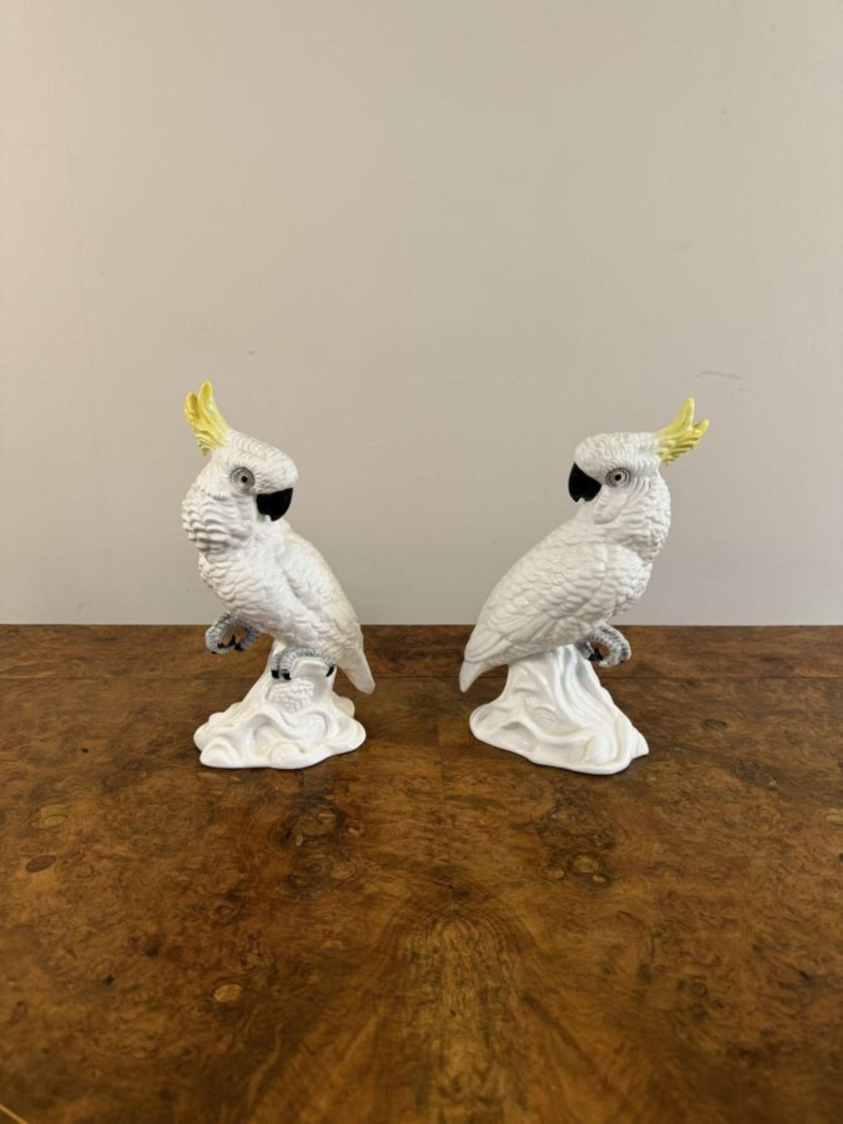 Ceramic Elegant pair of mid century cockatoos by T.J Jones  For Sale