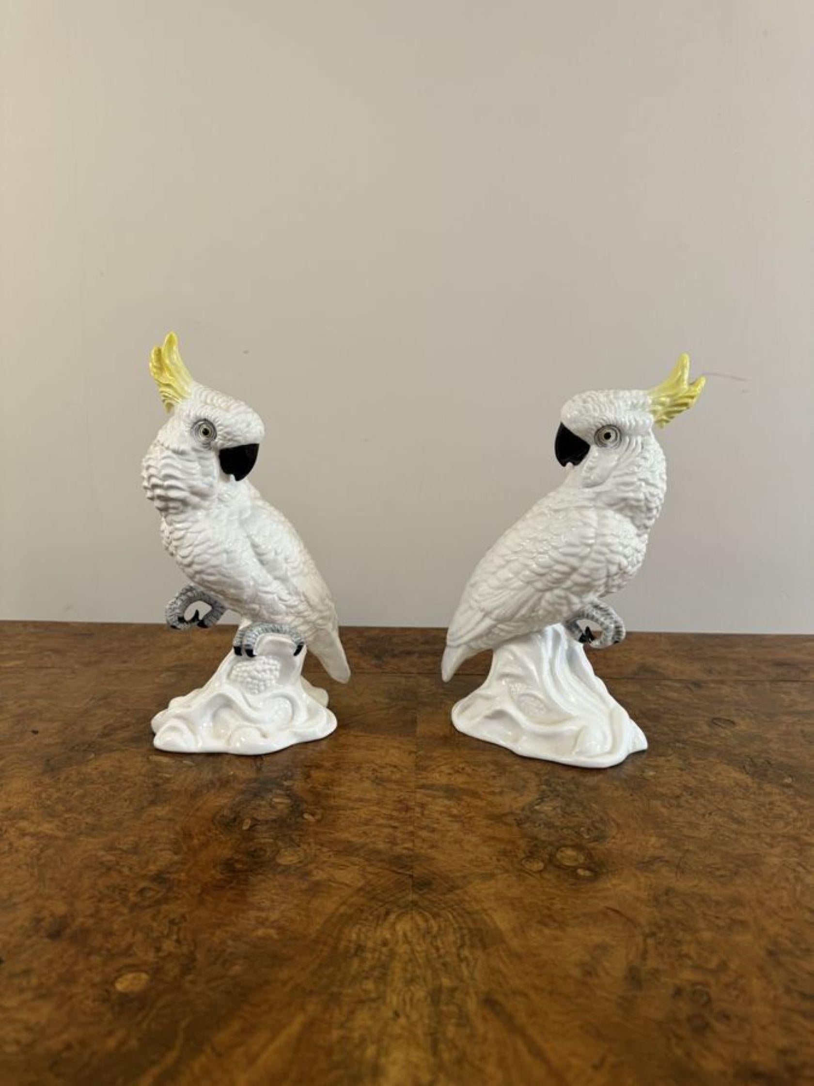 Elegant pair of mid century cockatoos by T.J Jones  For Sale 1
