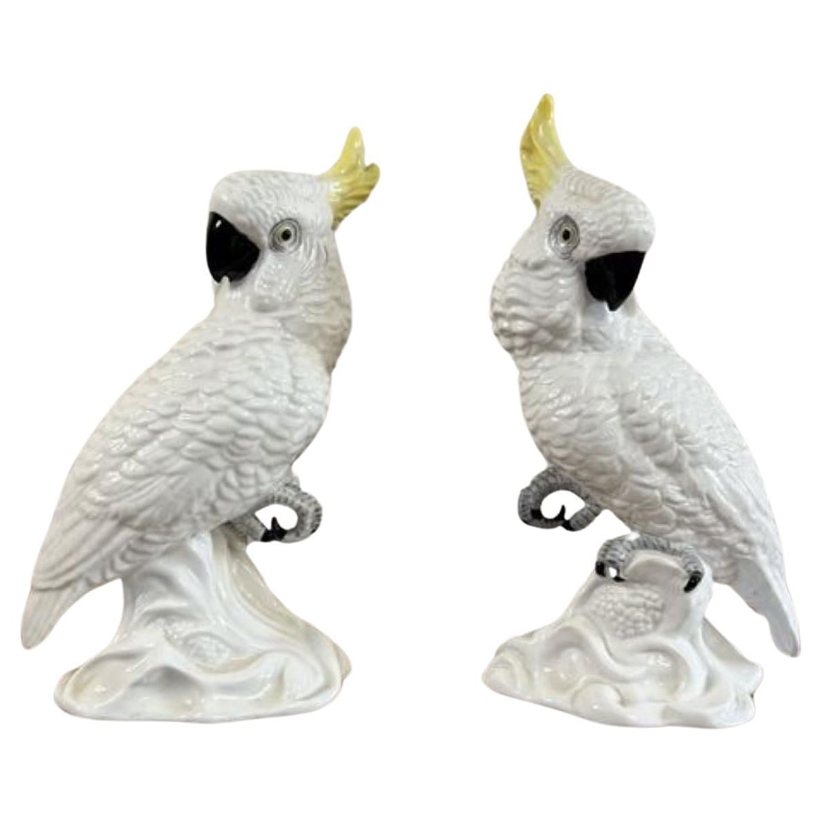 Elegant pair of mid century cockatoos by T.J Jones  For Sale