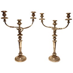 Elegant Pair of Old Sheffield Plate Candelabra, circa 1830